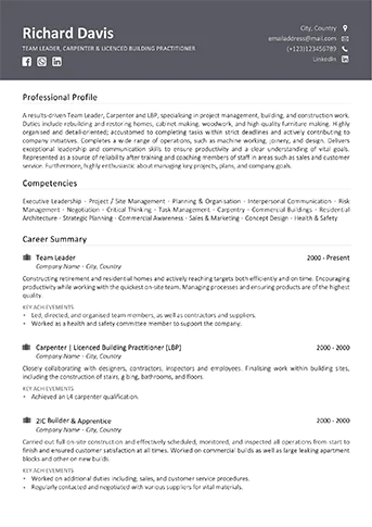 Professional Resume writing service example - Standard Example 1
