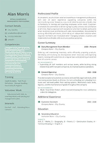 Professional Resume writing service example - Standard Example 2
